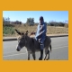 Lesotho06.jpg