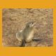 Namibia010.jpg