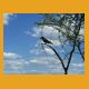 Namibia019.jpg